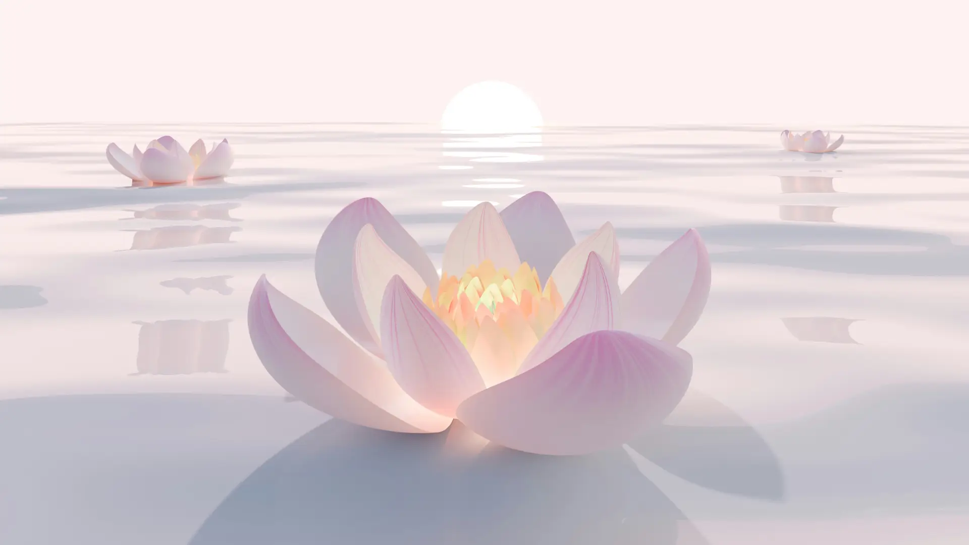 Lotus flower representing stillness and mindfulness